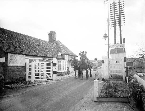 The toll is taken from a farmer his team of two shire plough horse- Old Photo
