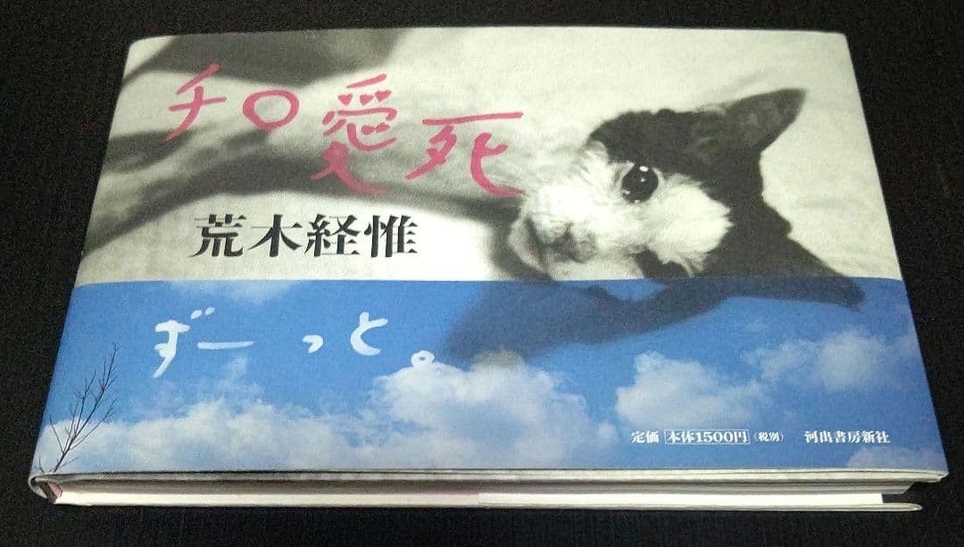 Nobuyoshi Araki \