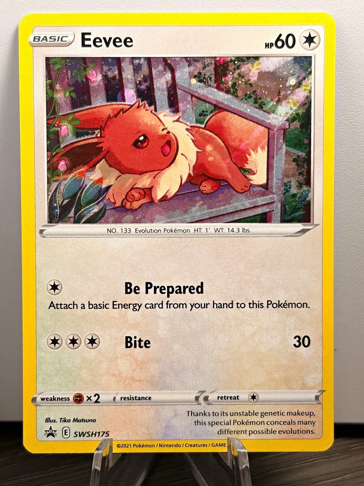 Pokémon Eevee SWSH175 SWSH Promo Holo Sword and Shield Promo EN Pokémon Eevee SWSH175 SWSH Promo Holo Sword and Shield Promo EN