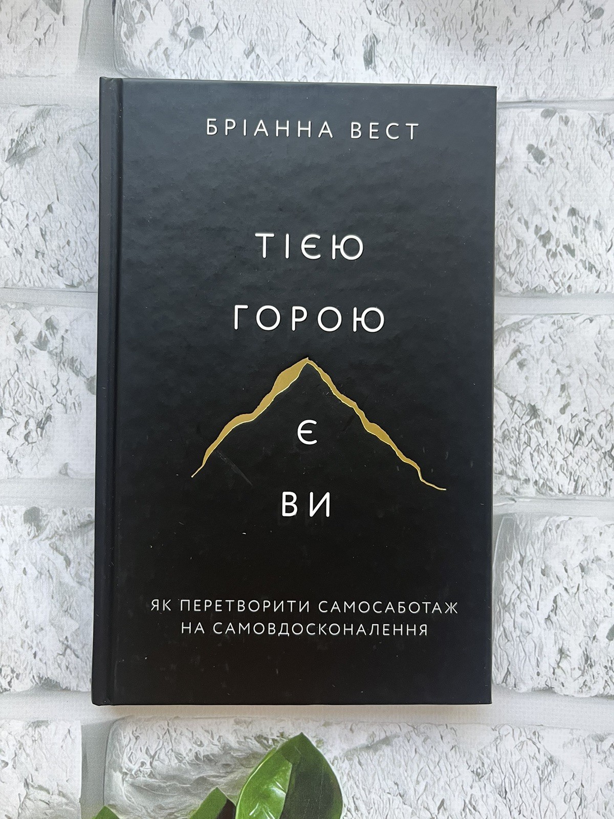 Бріанна Вест  Тією горою є ви Як перетворити самосаботаж на самовдосконалення