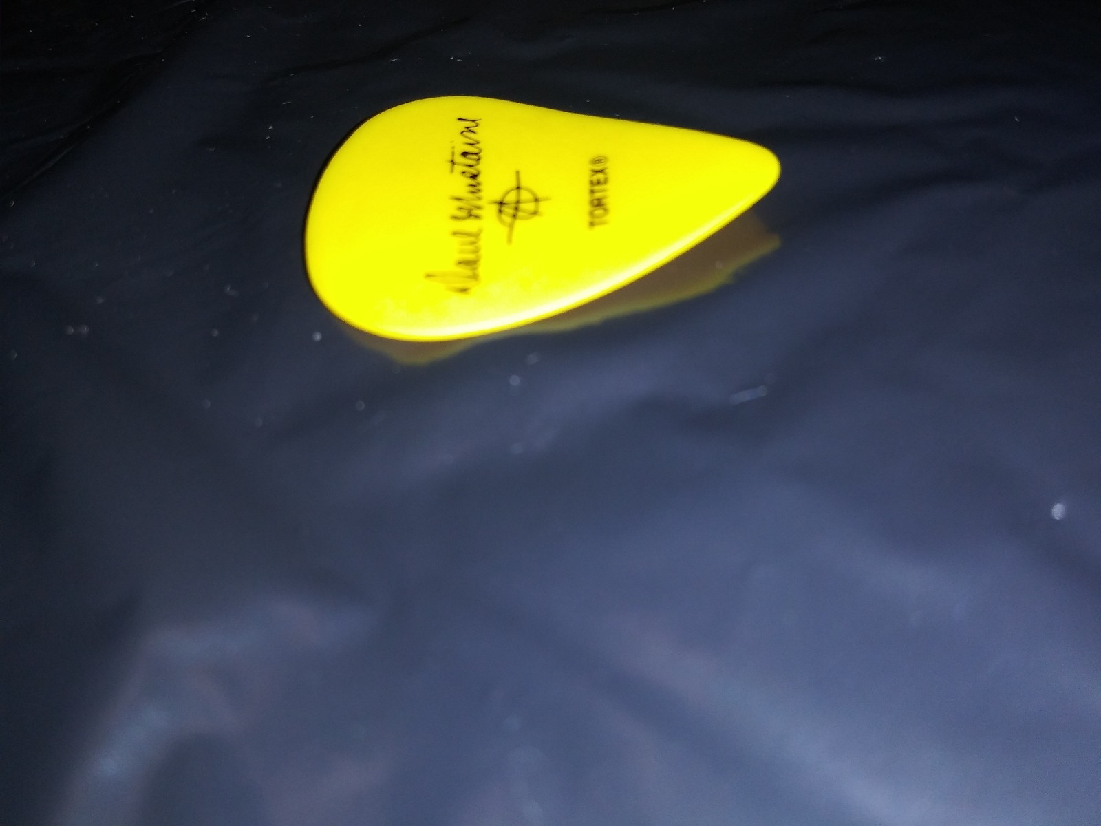 MEGADETH Logo Dave Mustaine Signature 2017 Dystopia Concert Tour GUITAR PICK MEGADETH Logo Dave Mustaine Signature 2017 Dystopia Concert Tour GUITAR PICK
