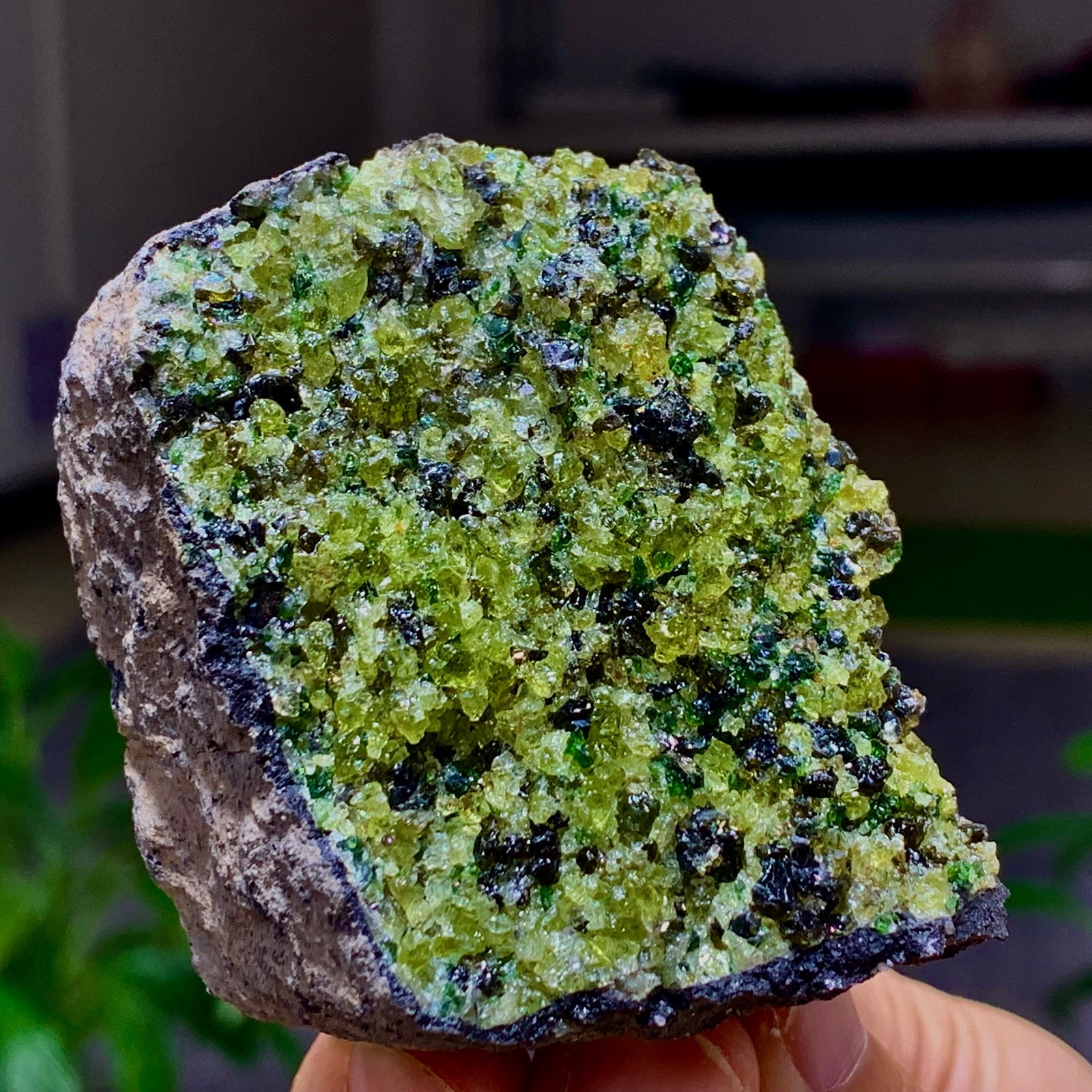 196G Natural and rare beautiful museum grade olive green olivine crystal