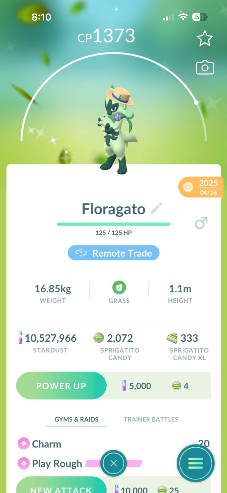 Shiny Floragato Liko Pin Hat ✅ Instant Trading ✅ Pokémon Go Shiny Floragato Liko Pin Hat ✅ Instant Trading ✅ Pokémon Go