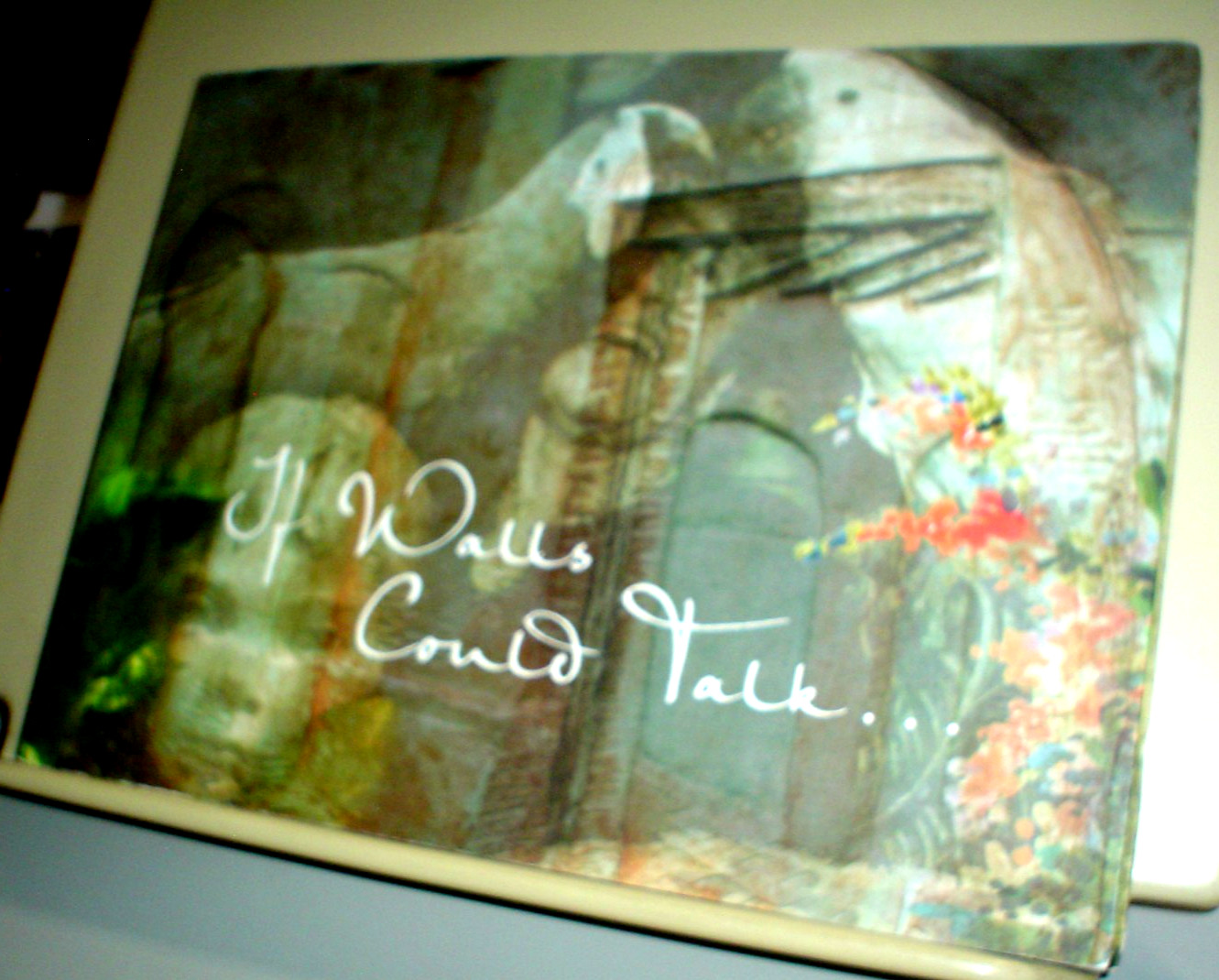 JAN D’ESOPO San Juan Puerto Rico IF WALLS COULD TALK McMahon 2002 1st ED