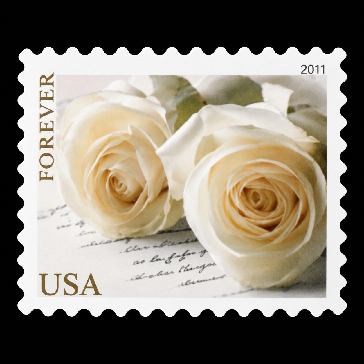 2011 White Wedding Roses 100-stamp set Creative stamp collectibles 2011 White Wedding Roses 100-stamp set Creative stamp collectibles