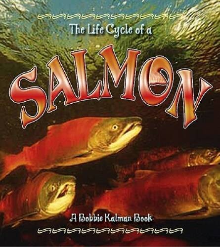 Salmon (Life Cycle of A...(Paperback)) - Paperback By Kalman, Bobbie - GOOD Salmon (Life Cycle of A...(Paperback)) - Paperback By Kalman, Bobbie - GOOD