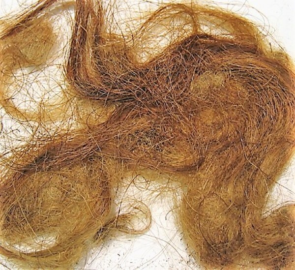 WOOLLY MAMMOTH REAL FUR HAIR WOOLY PERMAFROST RUSSIAN WOOL MASTODON RARE EXTINCT