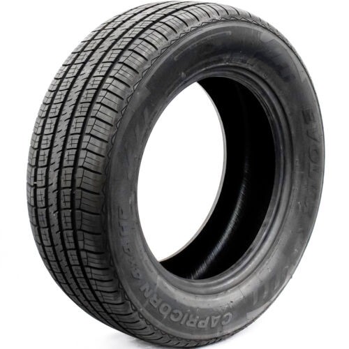 4 New Evoluxx Capricorn HP 225/60R17 2256017 225 60 17 High Performance Tire