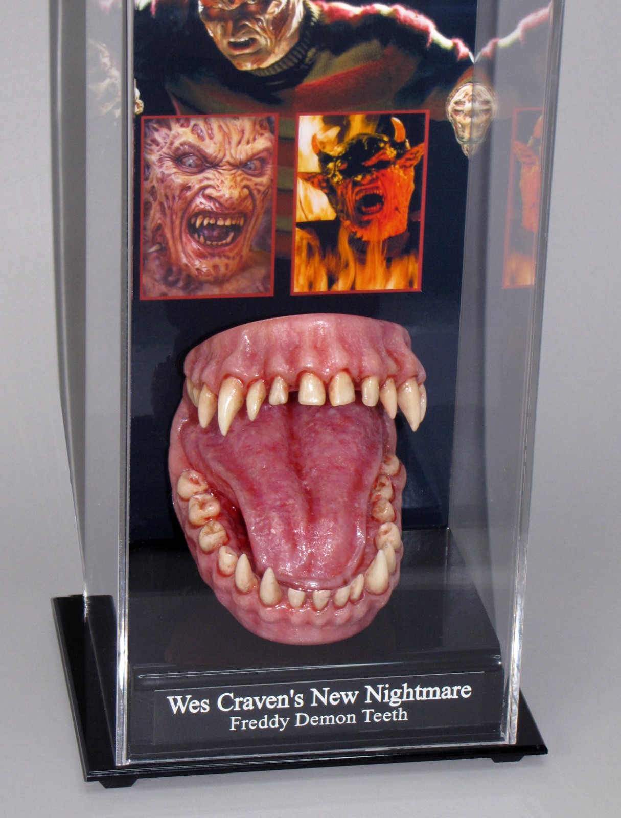 A Nightmare on Elm Street 7 Freddy Krueger Demon teeth Film Prop Display & COA A Nightmare on Elm Street 7 Freddy Krueger Demon teeth Film Prop Display & COA