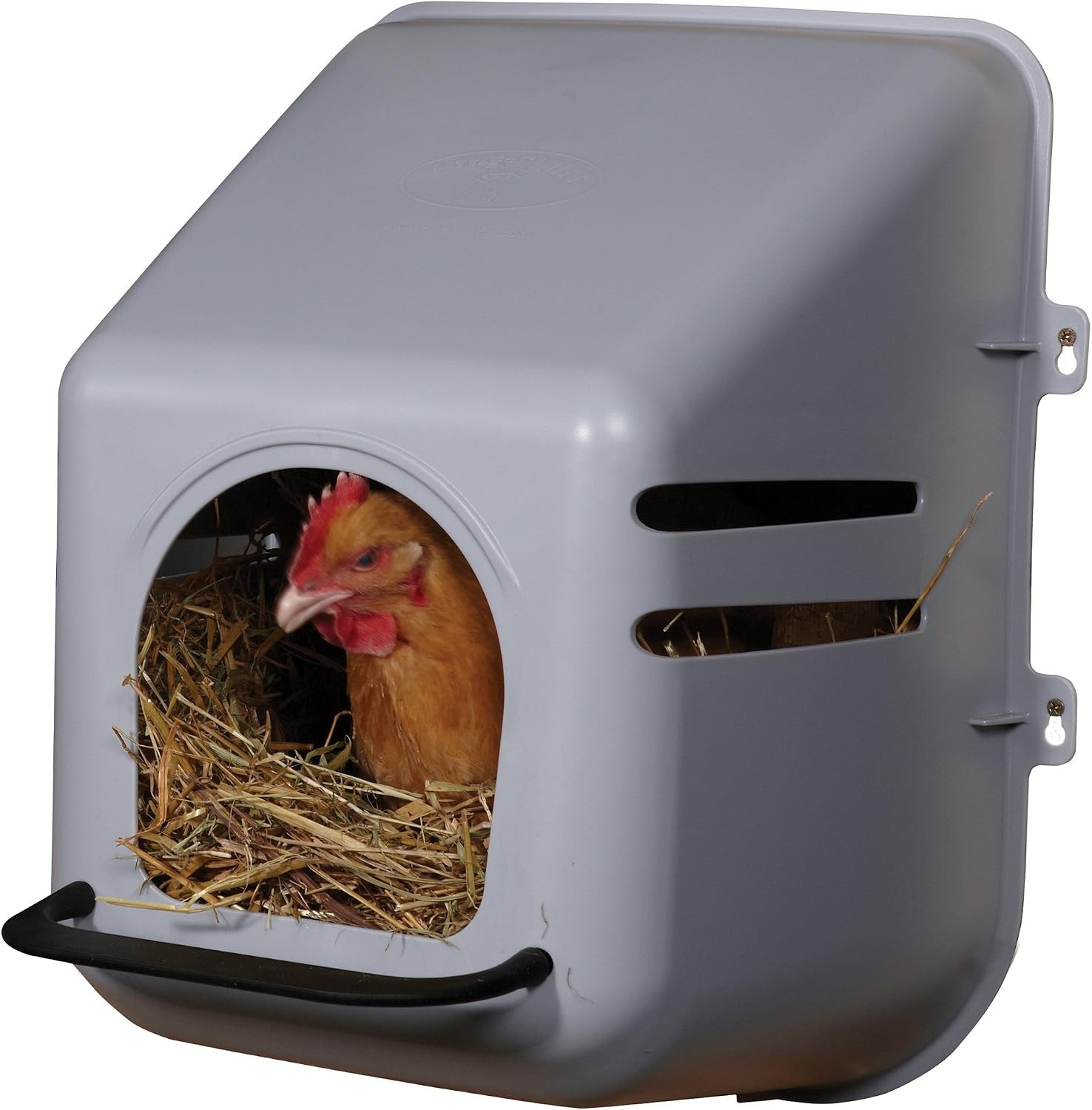 Little Giant Single Plastic Chicken Nest Box w/ Perch - Easy Clean, Rust-Proof Little Giant Single Plastic Chicken Nest Box w/ Perch - Easy Clean, Rust-Proof