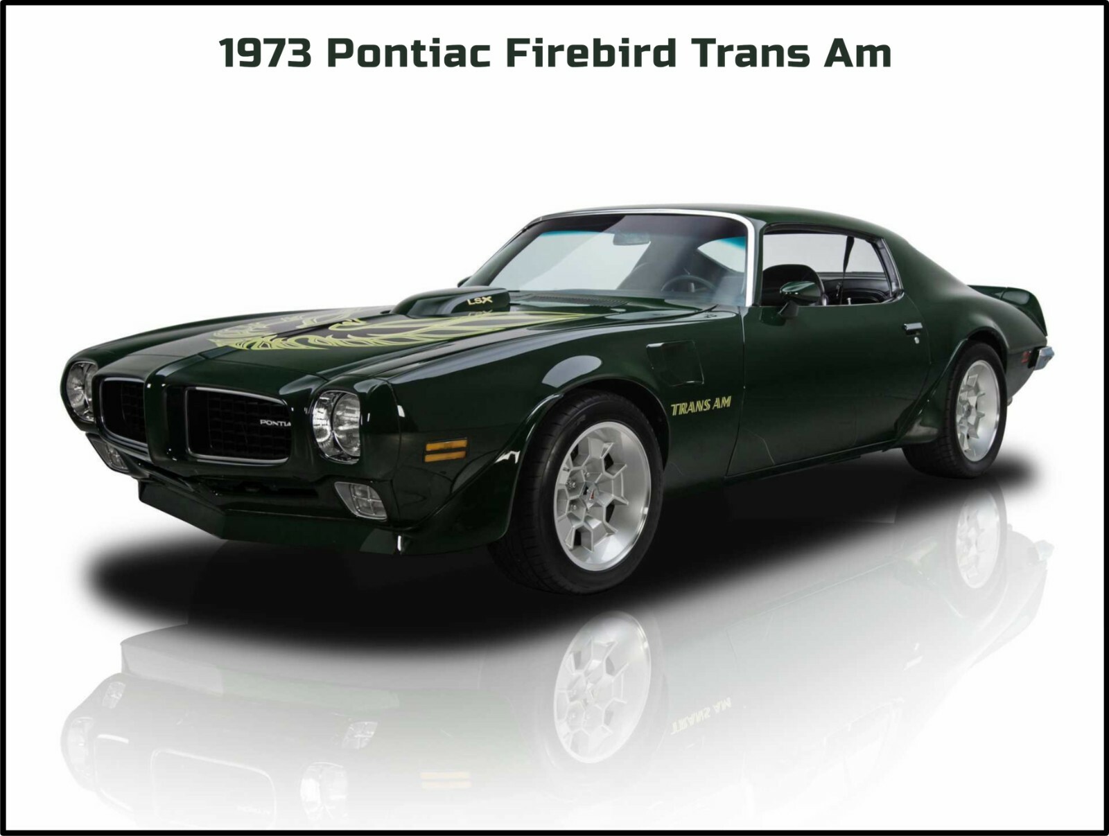 1973 Pontiac Firebird Trans Am NEW Metal Sign: Large Size 12 x 16\