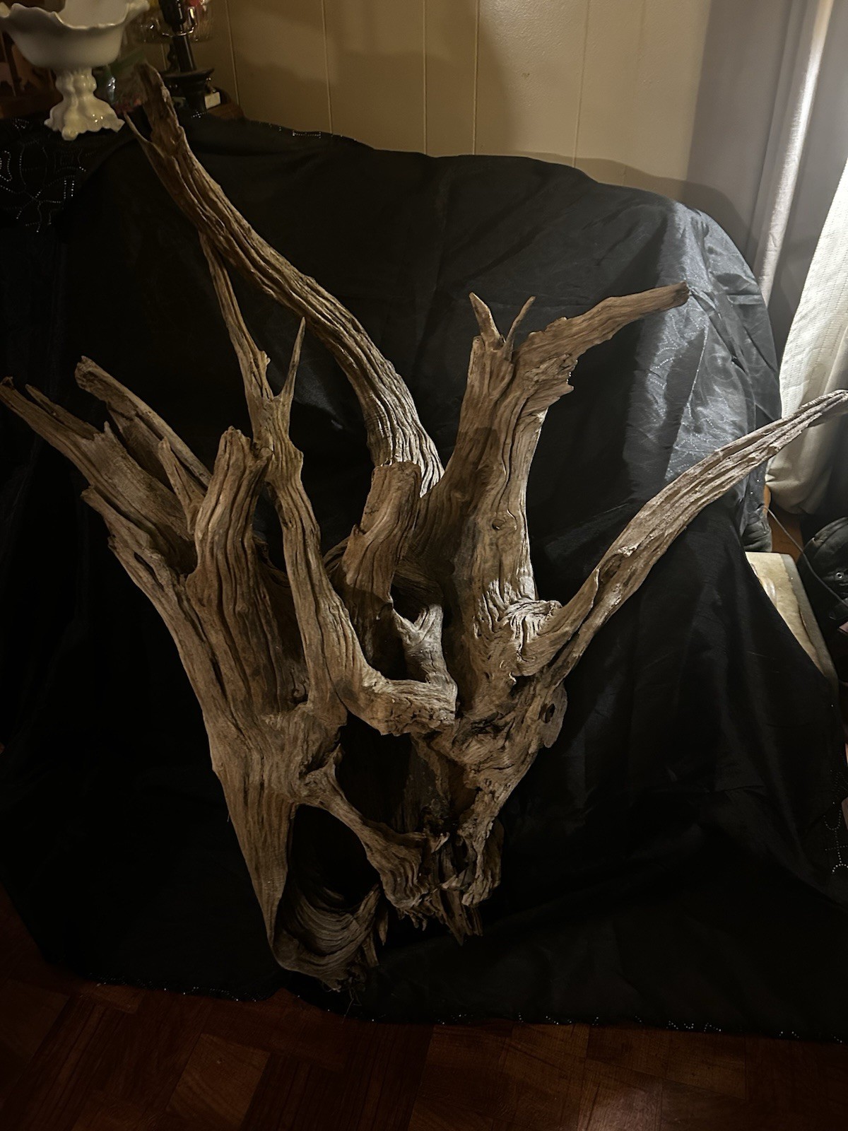 Extra Large Gorgeous Alabama Fabulous Piece Of Driftwood