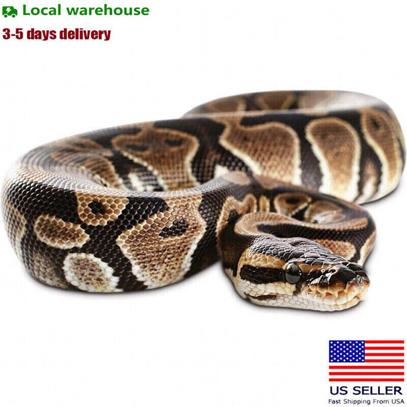 Garden Realistic Snake Lifelike Scary Prank Toy Joke Party Prop Garden Realistic Snake Lifelike Scary Prank Toy Joke Party Prop