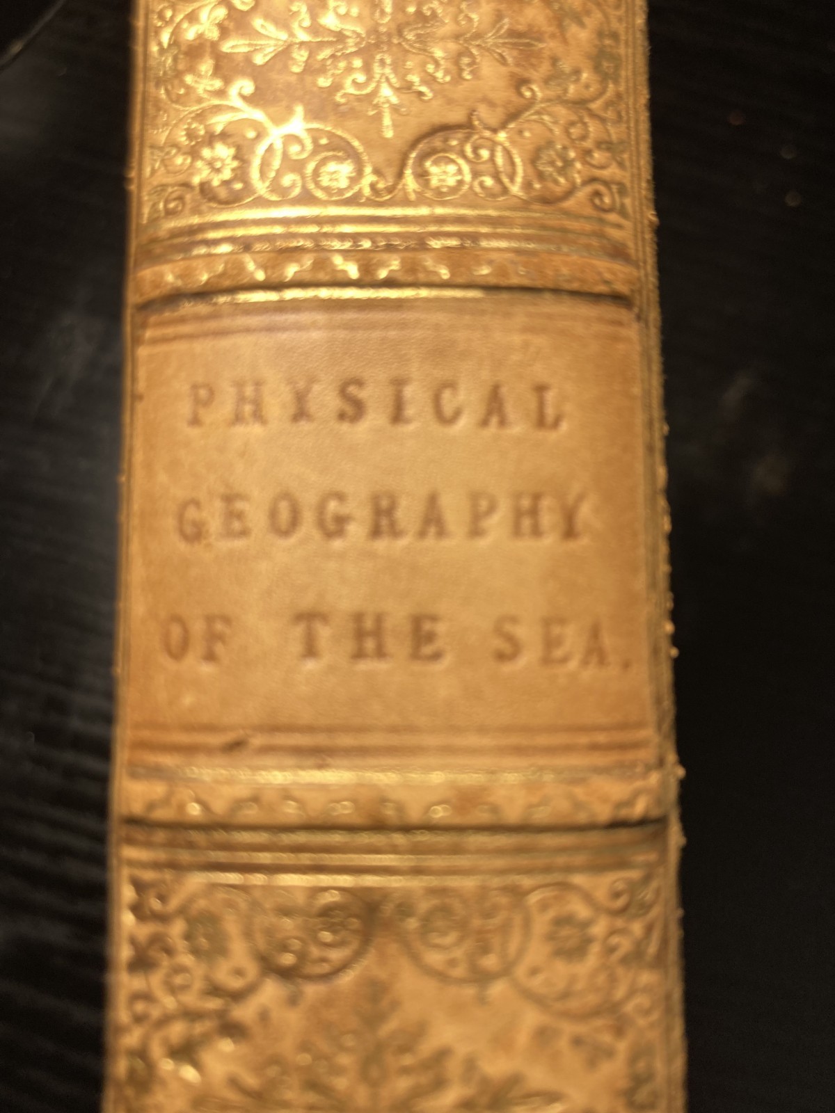 The Physical Geography of the Sea