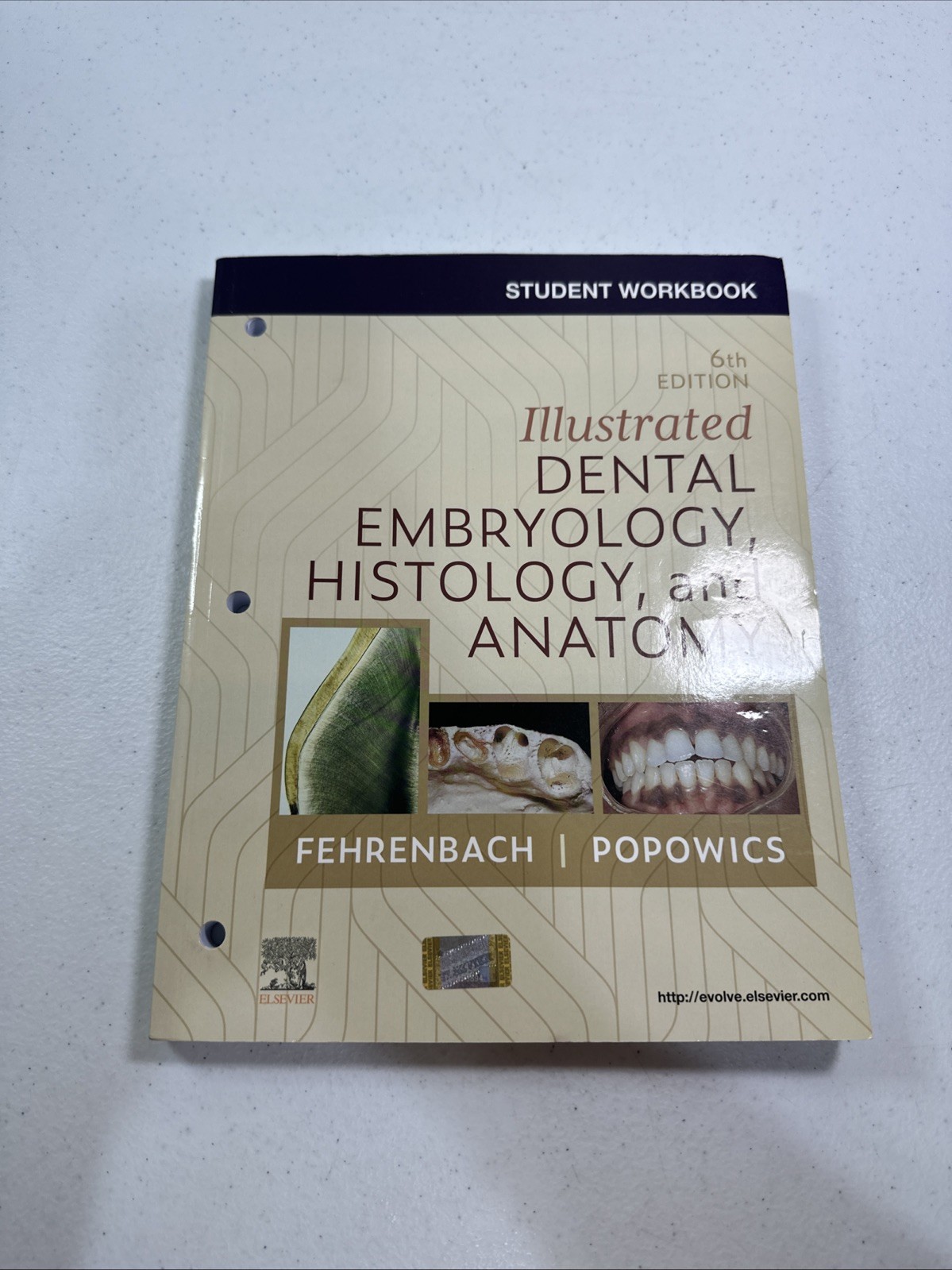 Student Workbook for Illustrated Dental Embryology, Histology and Anatomy - NEW