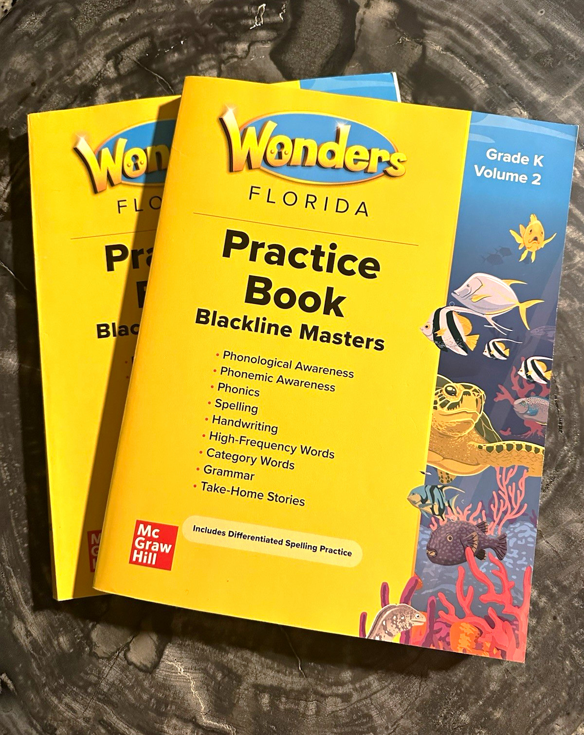 McGraw Hill Wonders Florida Grade K Practice Book Vol 2 Blackline Masters Lot 2 McGraw Hill Wonders Florida Grade K Practice Book Vol 2 Blackline Masters Lot 2