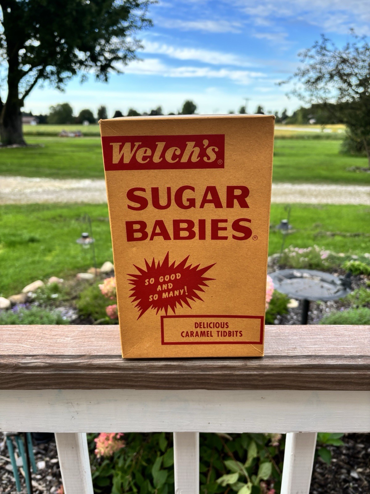 Vintage 60s Welch's Sugar Babies 24-Pack Display Box Nabisco Caramel Candy Rare