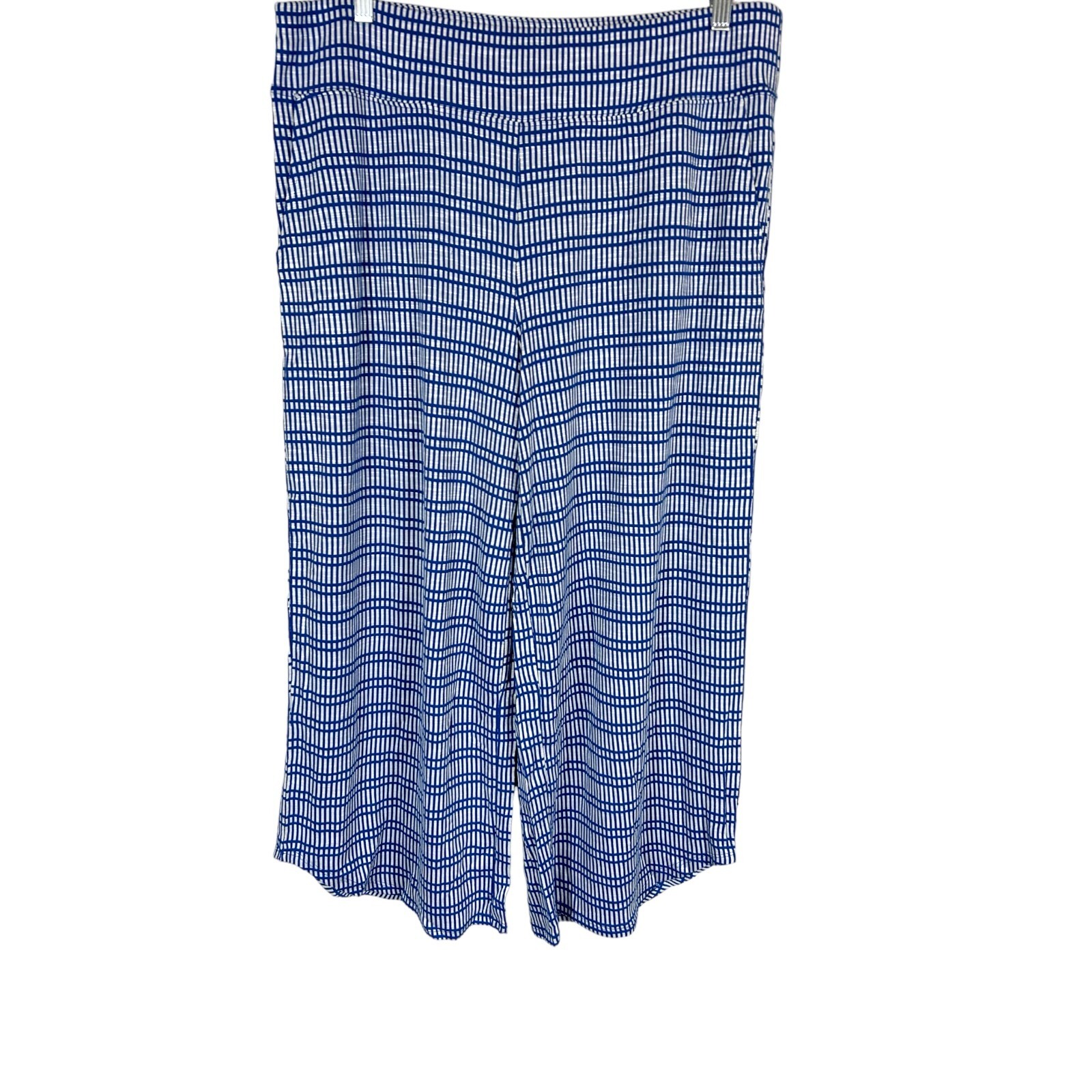 AnyBody Women\'s Pull-on Full-Leg Novelty Dobby Pants Lapis Blue Large Size