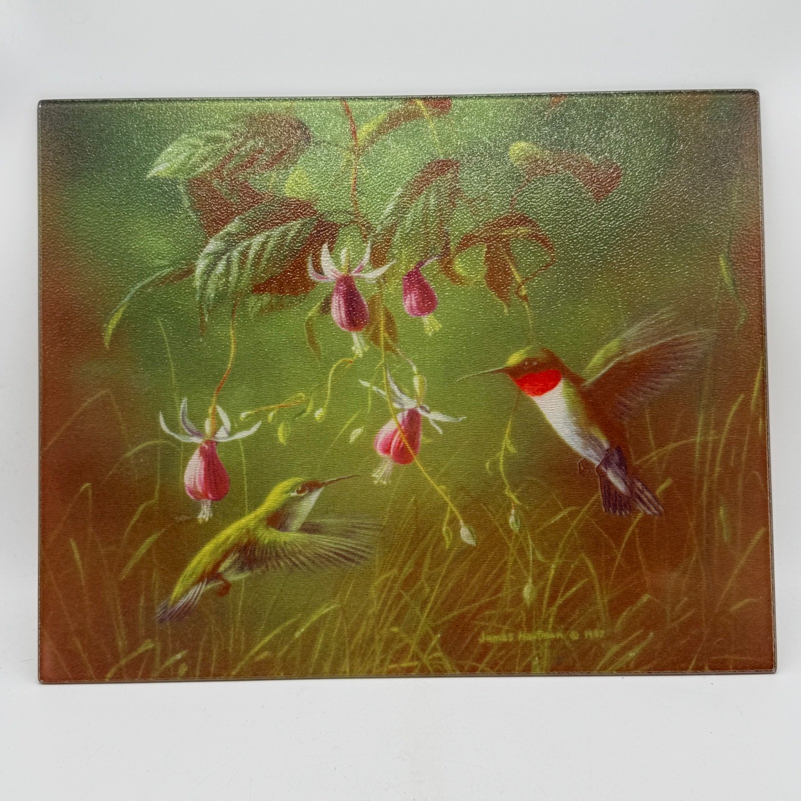Vintage 1997 James Hautman Glass Cutting Board Hummingbird Fuchsia Flower 15.5\ Vintage 1997 James Hautman Glass Cutting Board Hummingbird Fuchsia Flower 15.5\