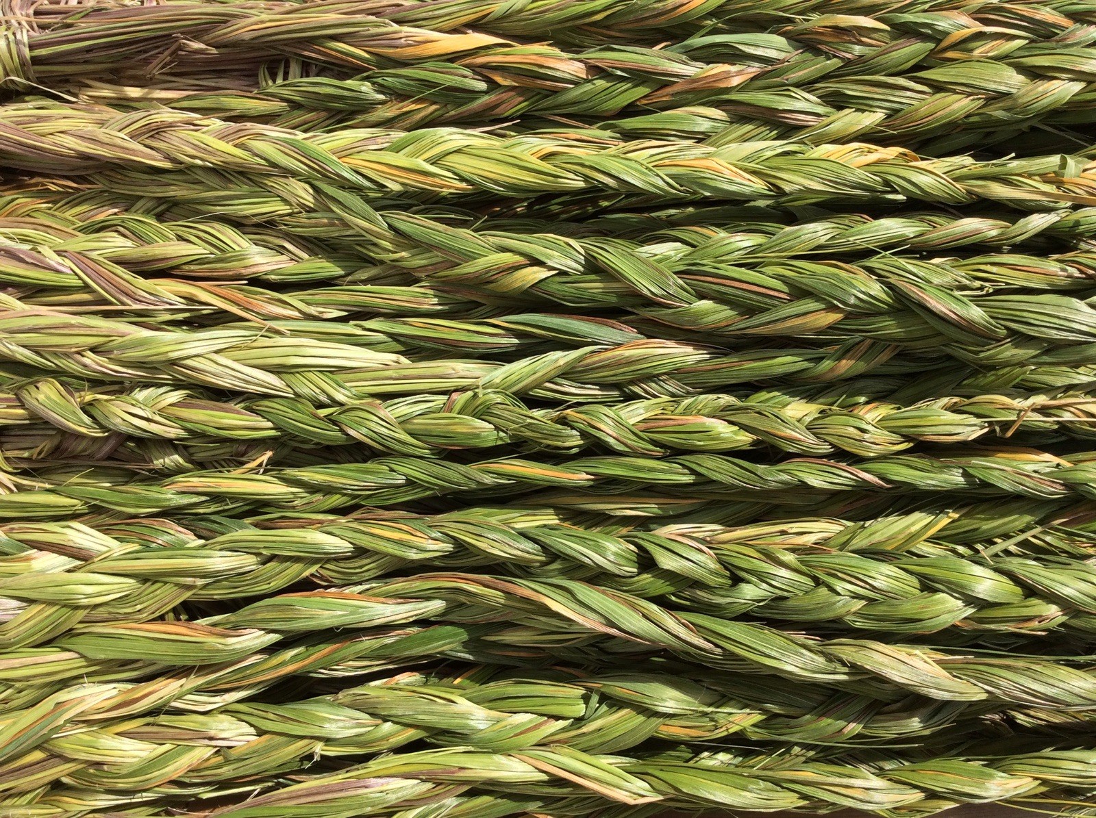 1 Sweetgrass Braid 18-24” Hierochloe Odorata Smudge