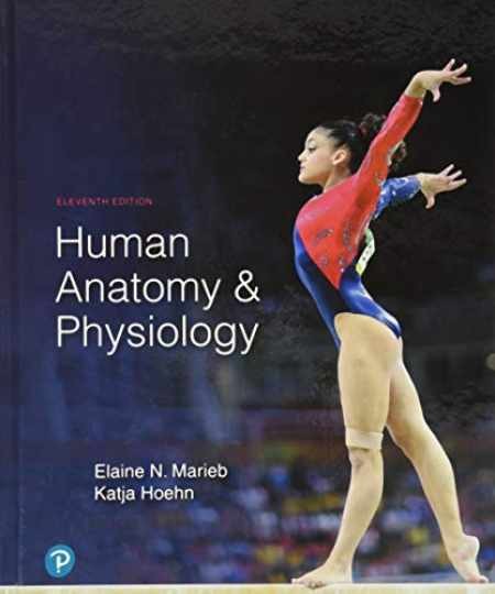 Human Anatomy & Physiology - Hardcover, by Marieb Elaine; Hoehn - Very Good Human Anatomy & Physiology - Hardcover, by Marieb Elaine; Hoehn - Very Good