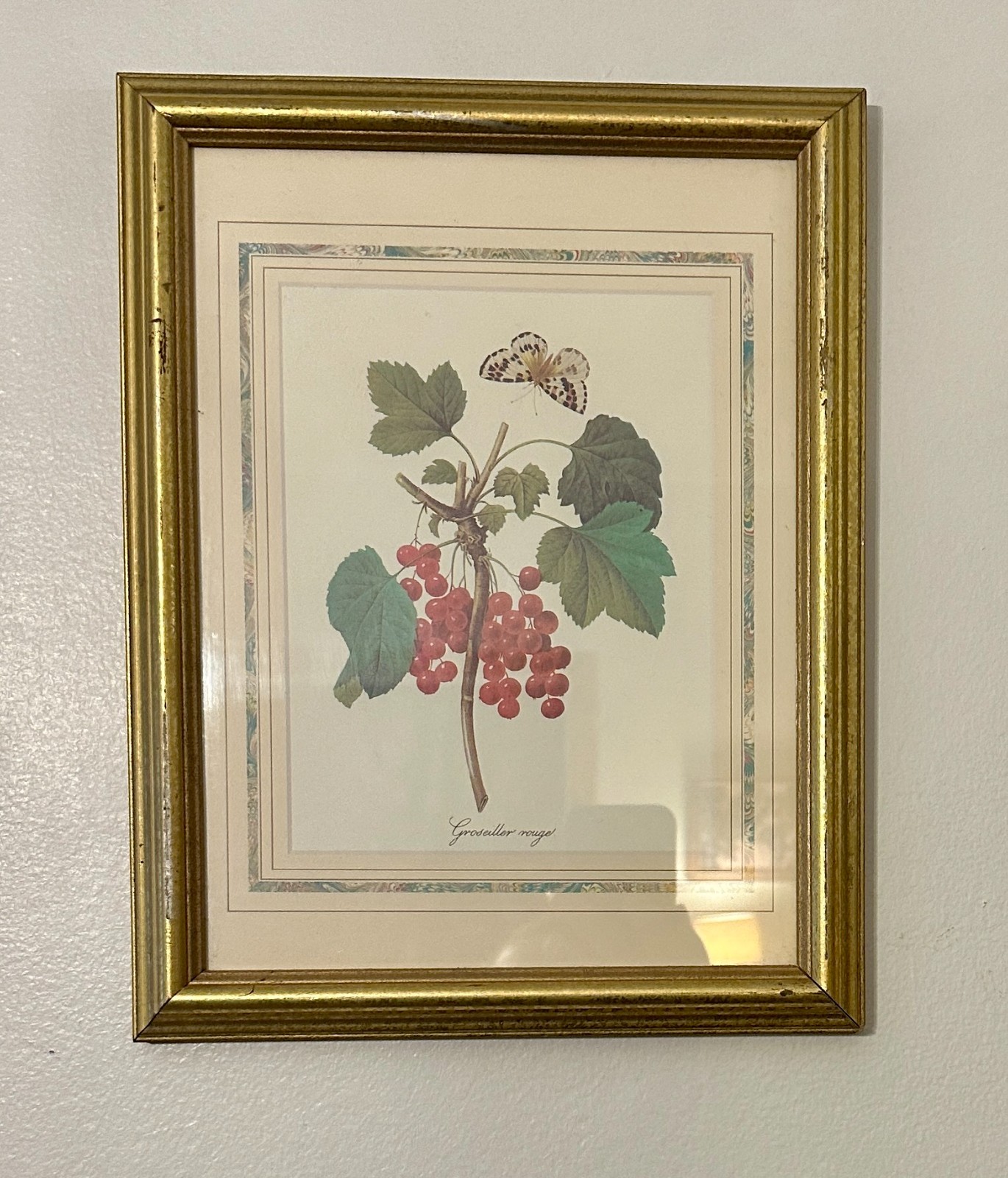 Vintage Framed Pierre Joseph Redouté Red Currant Botanical Print 10x12