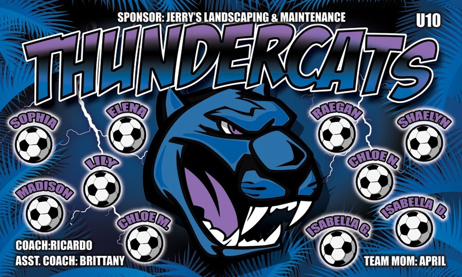 Thundercats - Soccer Team Banner - (3ft x5ft) Your Team Name Thundercats - Soccer Team Banner - (3ft x5ft) Your Team Name
