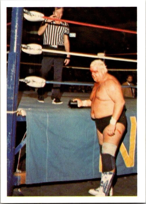 1988 Wonderama NWA - Dusty Rhodes #39