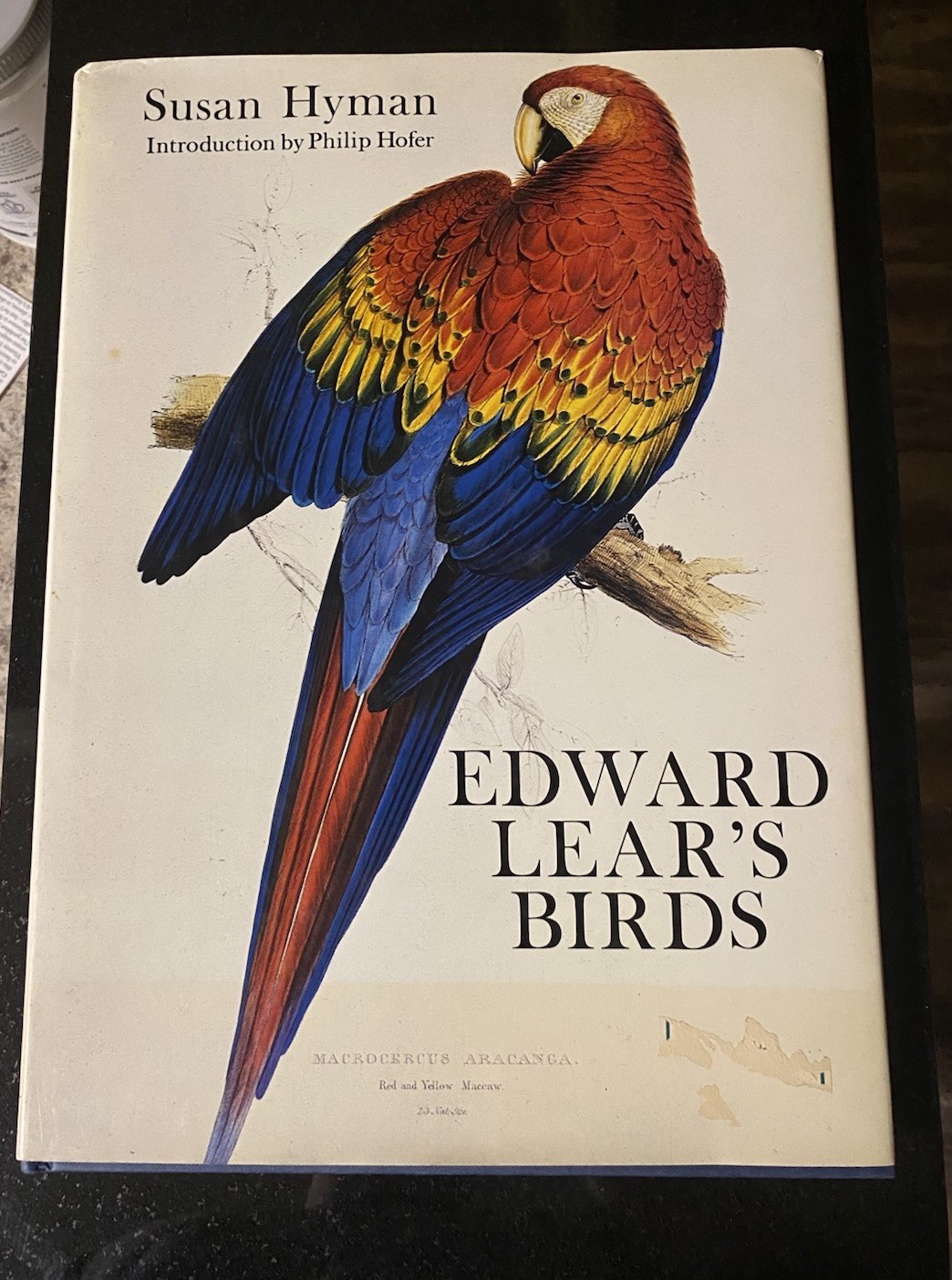 Edward Lear\'s Birds by Edward Lear and Susan Hyman (Hardcover) Oversized Edward Lear\'s Birds by Edward Lear and Susan Hyman (Hardcover) Oversized