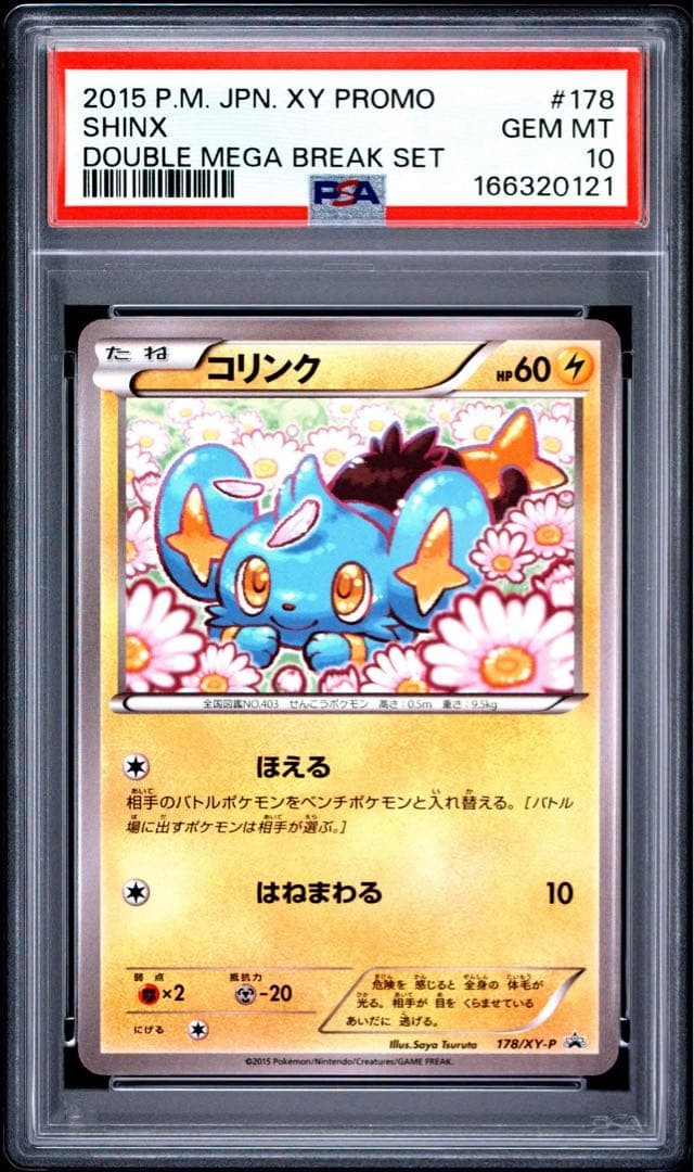 PSA10 Shinx Promo 178/XY-P Rare Pop79