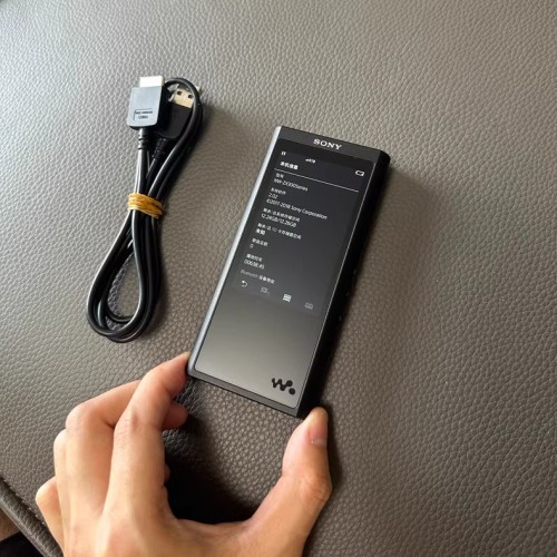 Sony NW-ZX300a Hi-Res Walkman Digital Music Player (Preowned)-Tested 95% new z8