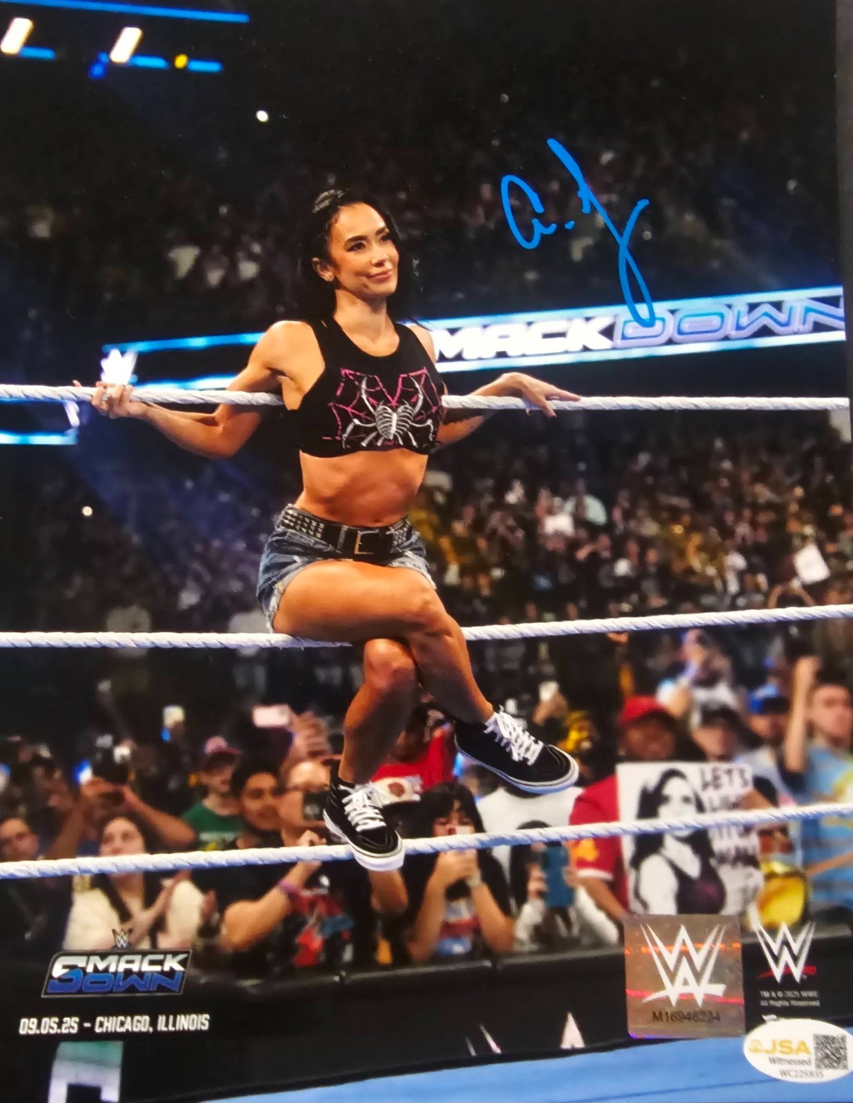 AJ A.J. Lee Signed 8x10 Photofile Photo Autographed *JSA CERT* WWE CM Punk AJ A.J. Lee Signed 8x10 Photofile Photo Autographed *JSA CERT* WWE CM Punk