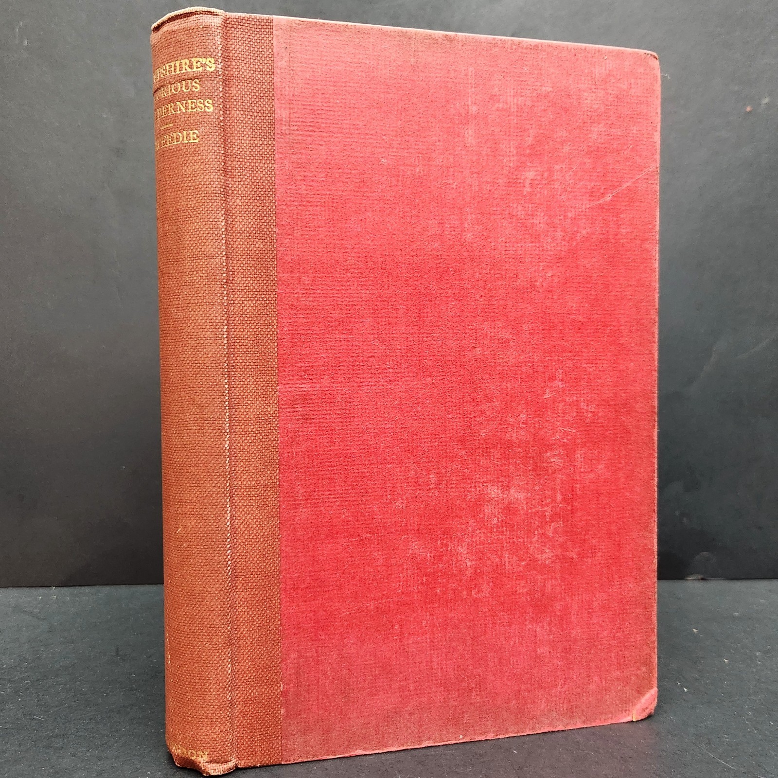 vintage 1925: Hampshire's Glorious Wilderness by George R. Tweedie w Folded MAP vintage 1925: Hampshire's Glorious Wilderness by George R. Tweedie w Folded MAP
