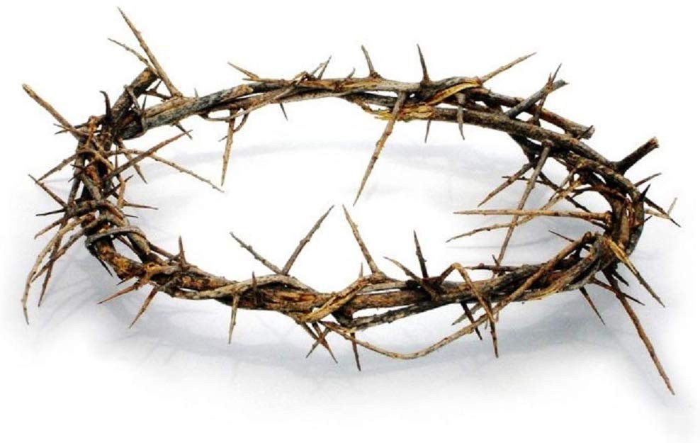Authentic Biblical Lifesize 8 Authentic Biblical Lifesize 8