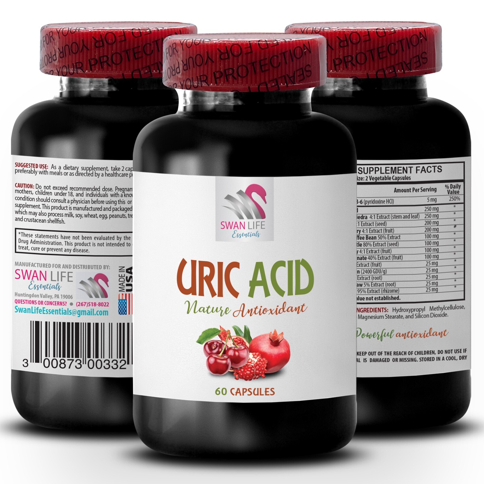 Daily Pleasure - URIC ACID COMPLEX - Milk Thistle 1 Bottle 60 Capsules