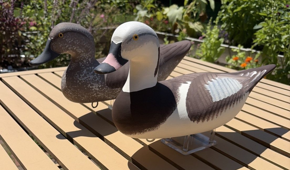 Vintage Captain Harry Jobes Old Squaw Pair Hand Painted Decoy Signed Vintage Captain Harry Jobes Old Squaw Pair Hand Painted Decoy Signed