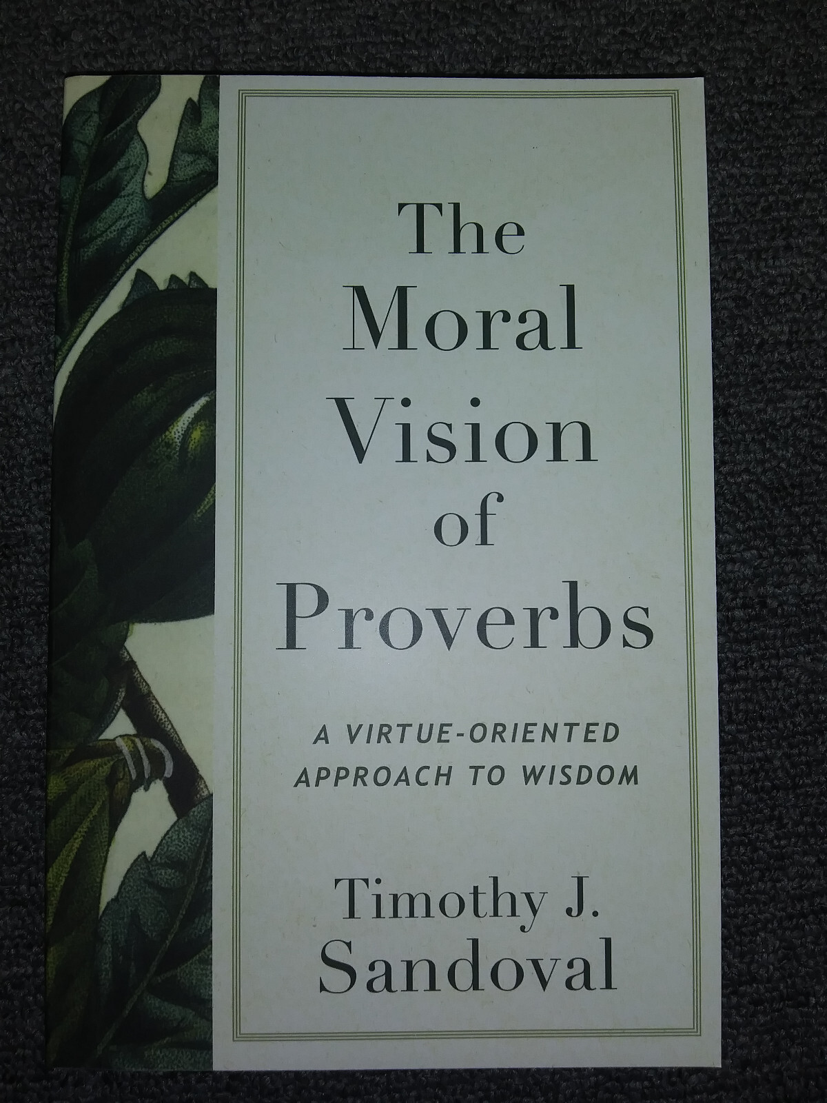 Moral Vision of Proverbs : A Virtue-Oriented Approach to Wisdom by Timothy J....