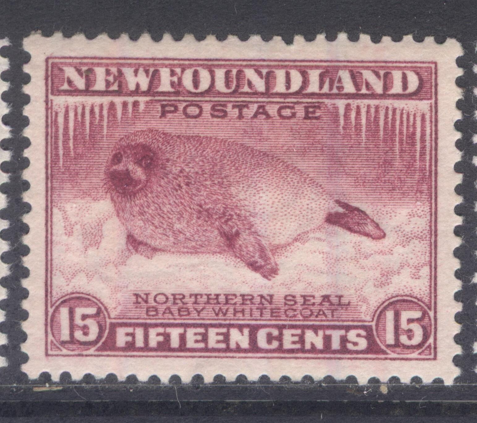 NEWFOUNDLAND 195 1932 1ST RESOURCES DEFINITIVES 15c MAGENTA HARP SEAL PUP VF MPH