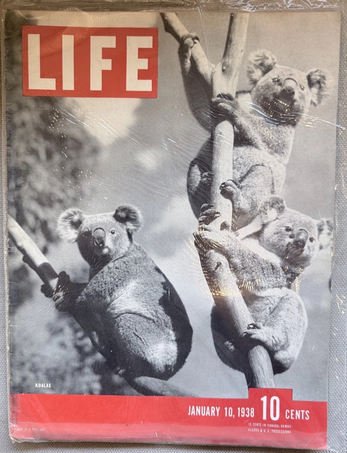 VTG Life Magazine January 10, 1938 Koalas, Panay Incident, US Gunboat Bombed