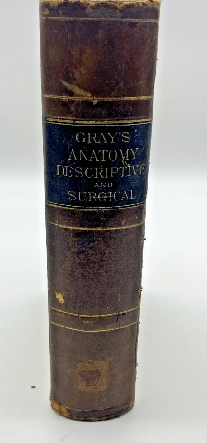 1878 Gray’s Anatomy Descriptive & Surgical A New American from 8th English vers.