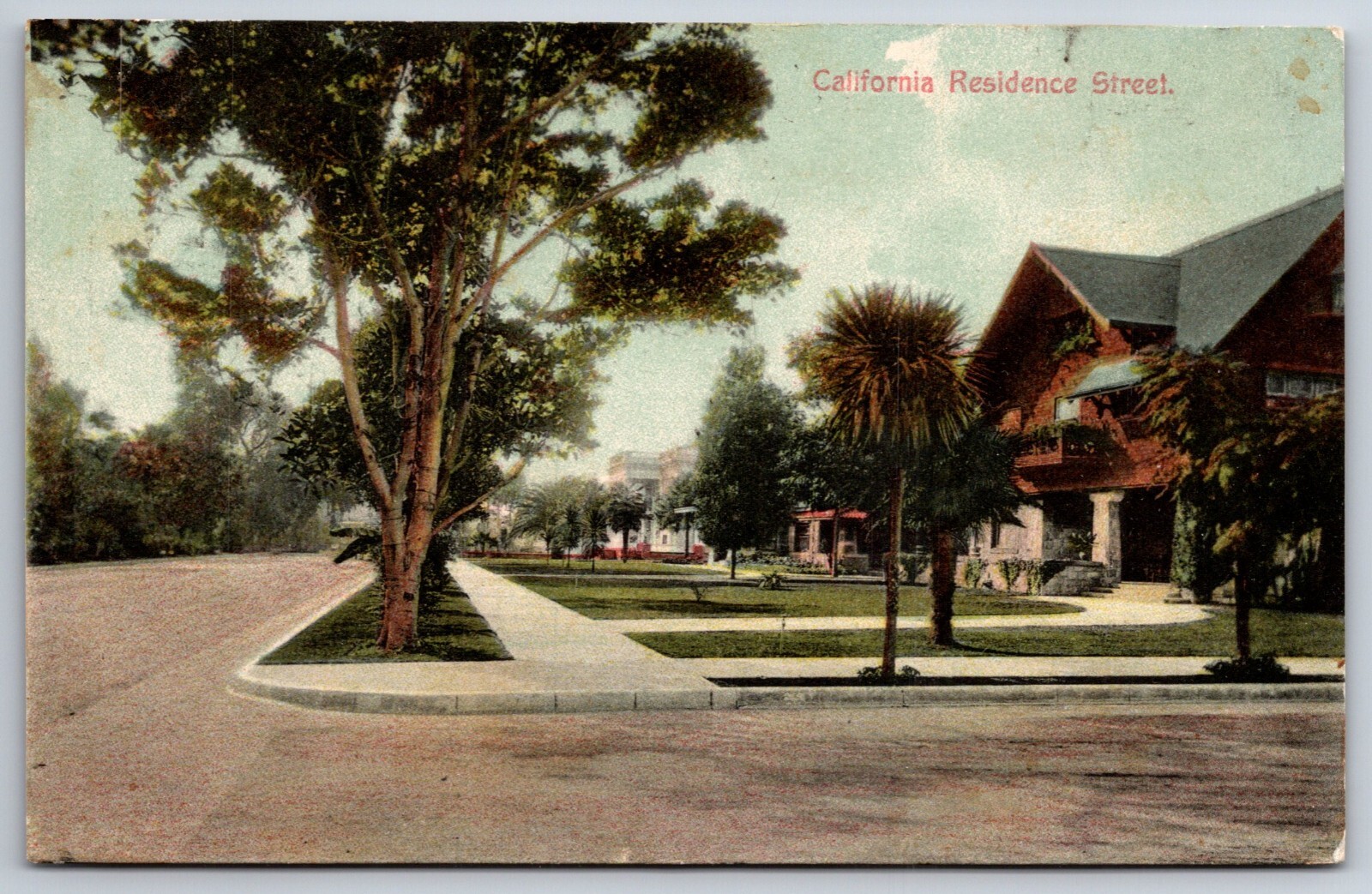Pico Heights (Los Angeles) CA Big Tree on Corner of Residential Street c1910