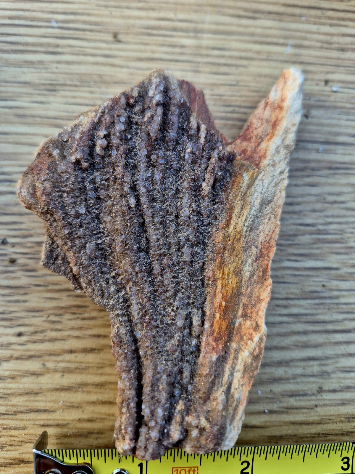 Texas Petrified Wood With Druzy Texas Petrified Wood With Druzy