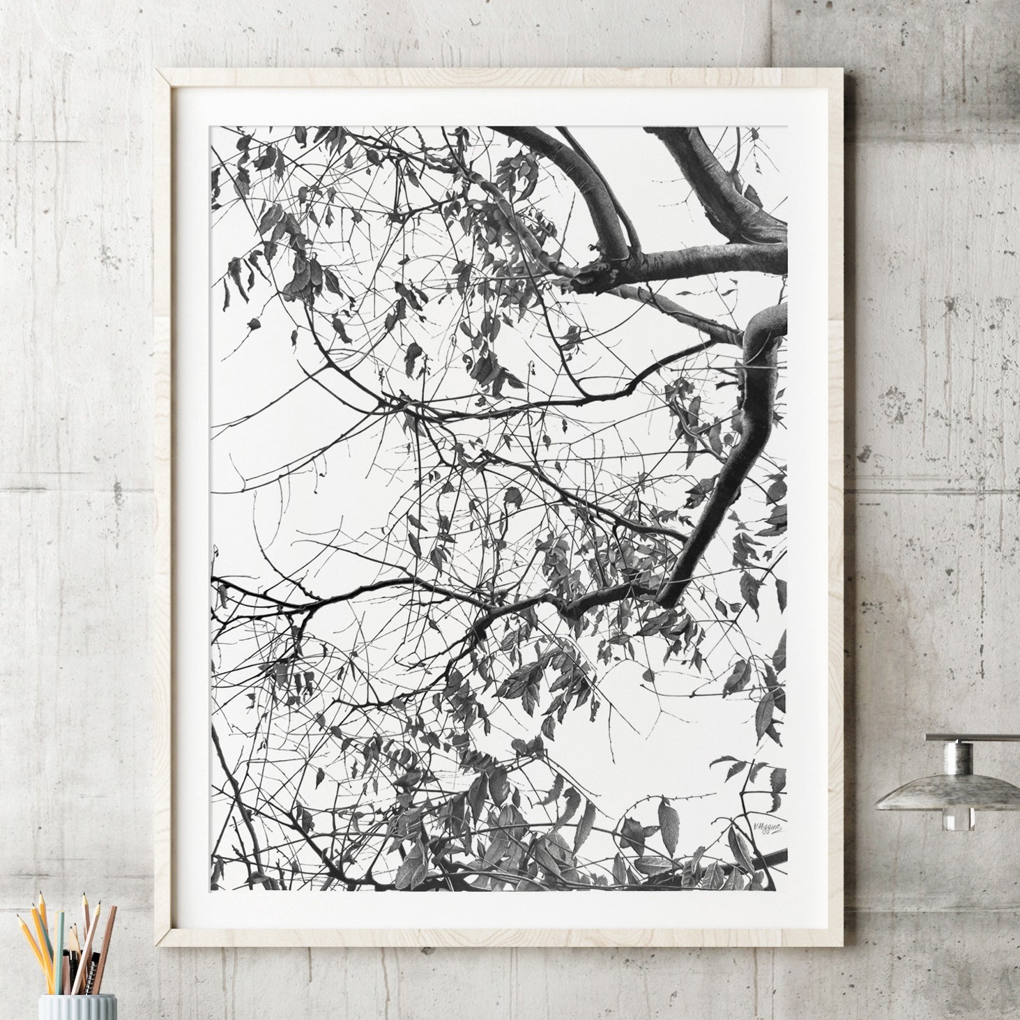 Large Original Pencil Drawing: Photorealistic Tree Branches, Botanical Art Large Original Pencil Drawing: Photorealistic Tree Branches, Botanical Art