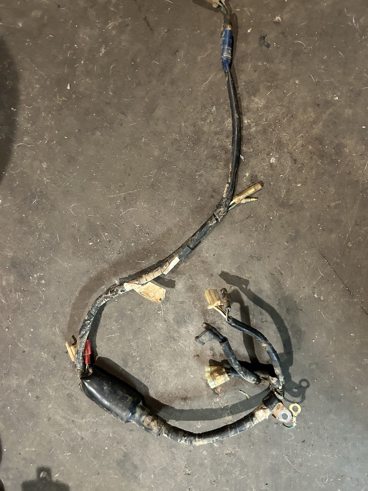 π NICE 1987 HONDA ATC200X Wire Harness 87 86 Atc 200x WIRE LOOM WIRING OEM π NICE 1987 HONDA ATC200X Wire Harness 87 86 Atc 200x WIRE LOOM WIRING OEM