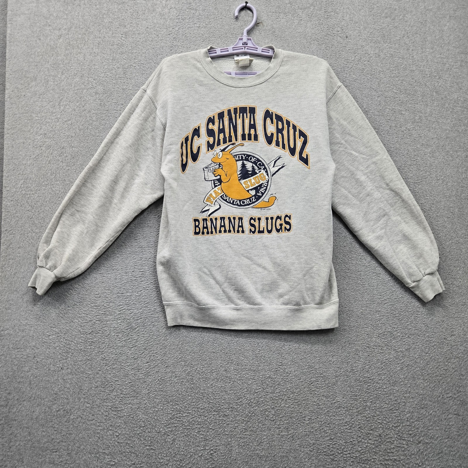 VINTAGE UC Santa Crus Banana Slugs 1997 Men Sweatshirt S Gray Lee Fleece 
