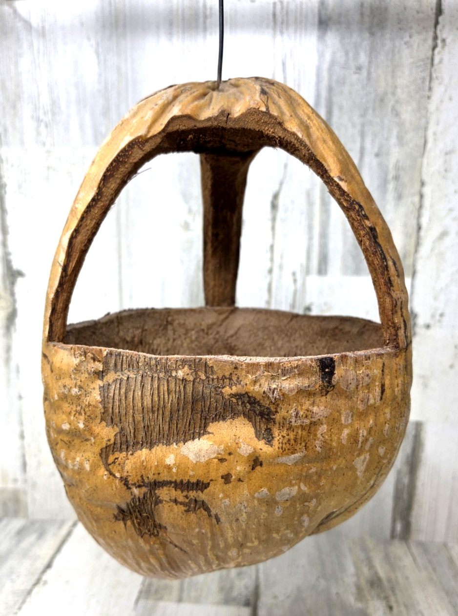 VTG Hand-Carved Hanging Pumpkin/Coconut Gourd Shell (Decor Basket ~ Planter) 2/2