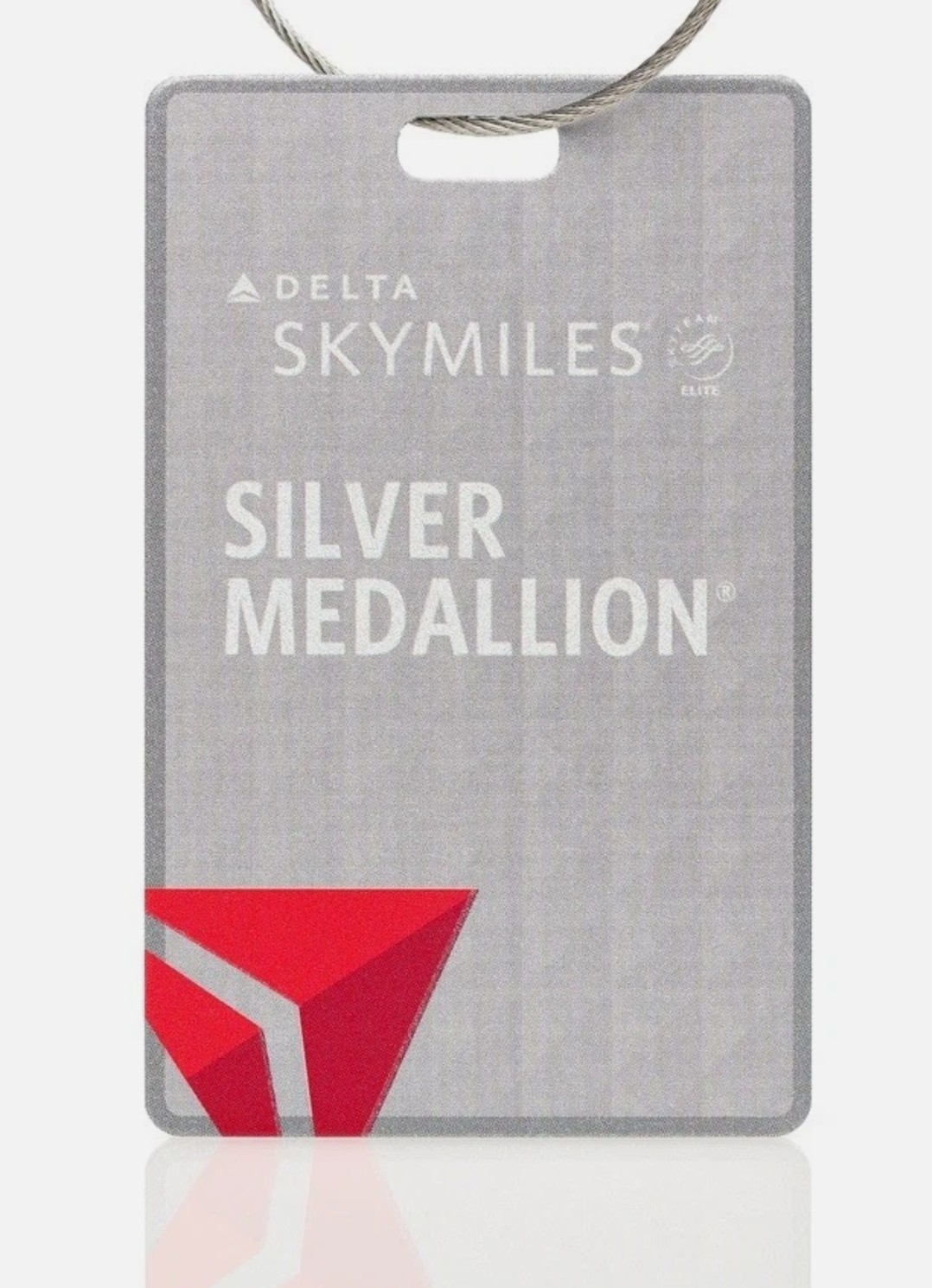 1 Delta Silver Medallion Elite Status thru Jan 31 2028 Upgrades Free Bag Skyteam
