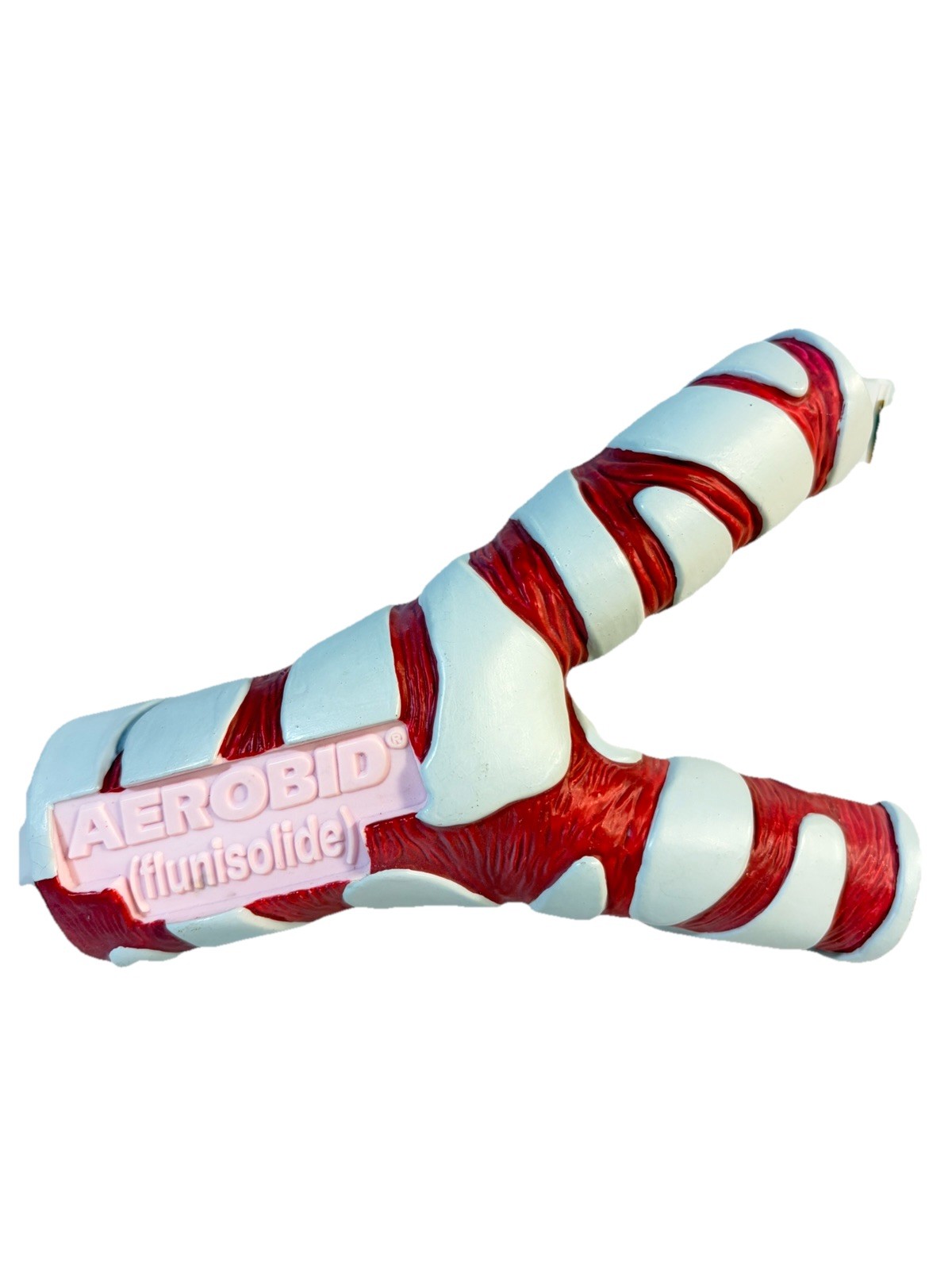 AEROBID Pharmaceutical Sales Promo Drug Rep Bronchial Tubes Model 2 Pc Medical AEROBID Pharmaceutical Sales Promo Drug Rep Bronchial Tubes Model 2 Pc Medical