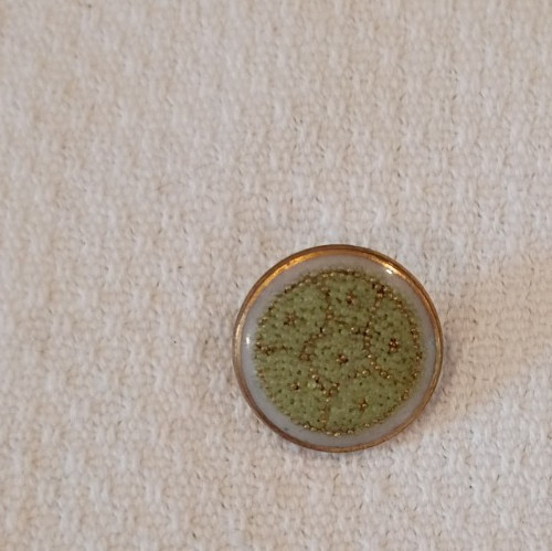 Antique Coralene Glass button  1880\'s  RARE