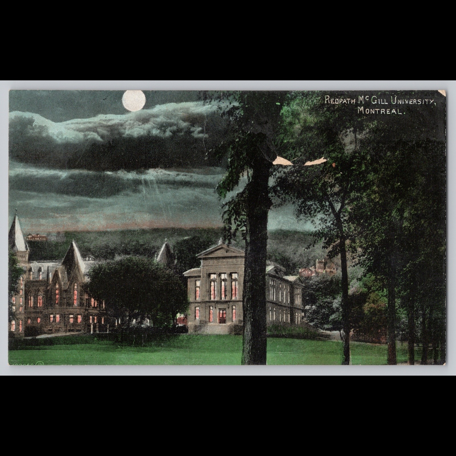 Postcard Redpath McGill University Montreal Night Scene